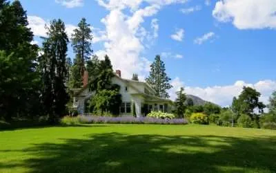 Spruce up your space: Landscaping tips for new homeowners!