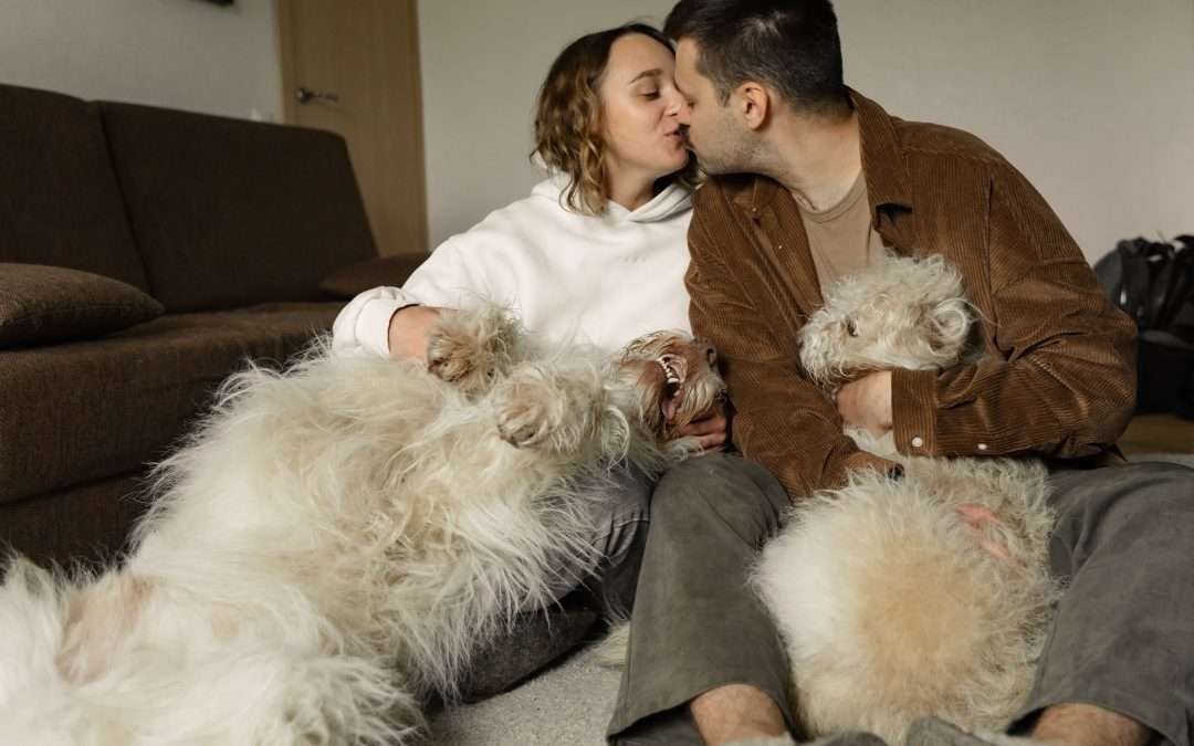 New Home Blues: The Cons of Building Bright Futures