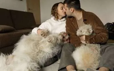 New Home Blues: The Cons of Building Bright Futures